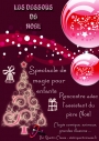 Spectacle de magie pour Arbre de Noël 