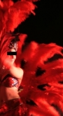 FANTASTICA DANCE SHOW