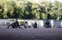 Cie DOG TRAINER
